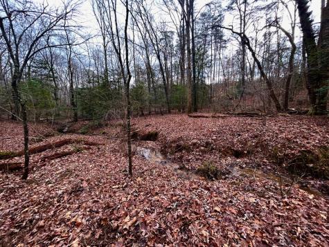 00 Grace Drive Blue Ridge GA 30513