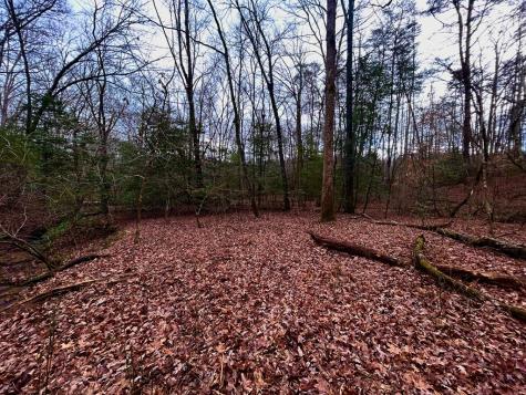 00 Grace Drive Blue Ridge GA 30513