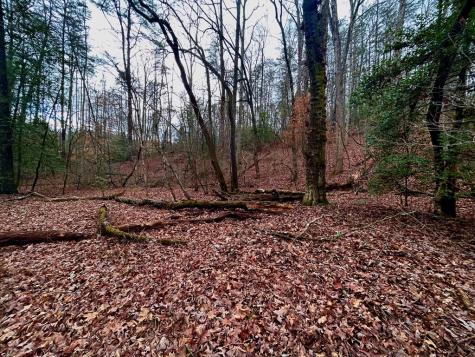 00 Grace Drive Blue Ridge GA 30513