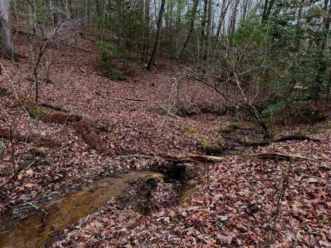 00 Grace Drive Blue Ridge GA 30513