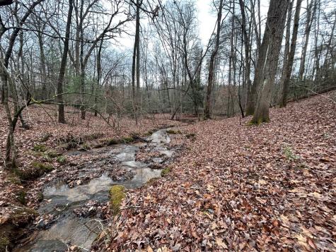 00 Grace Drive Blue Ridge GA 30513