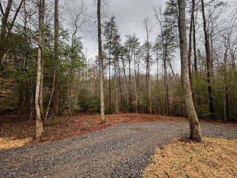 00 Grace Drive Blue Ridge GA 30513