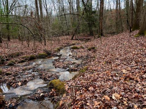 00 Grace Drive Blue Ridge GA 30513