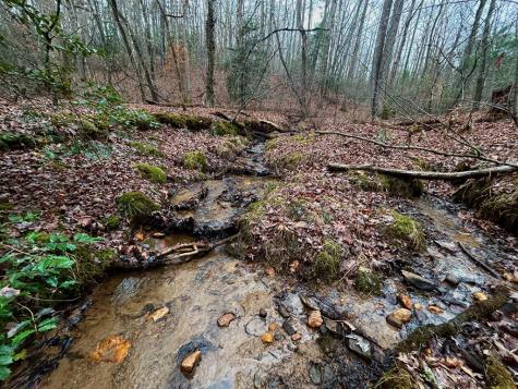 00 Grace Drive Blue Ridge GA 30513