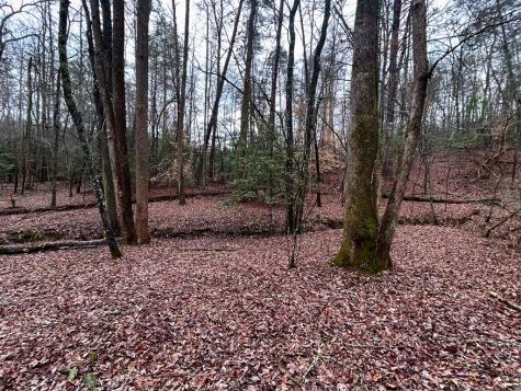 00 Grace Drive Blue Ridge GA 30513