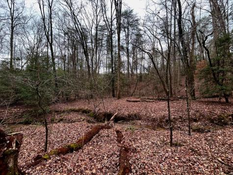 00 Grace Drive Blue Ridge GA 30513