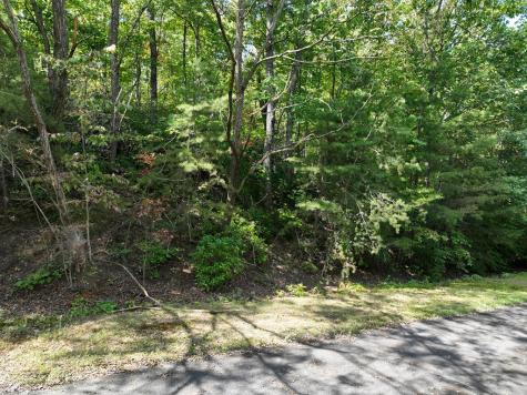 123 Edinborough Court Ellijay GA 30536