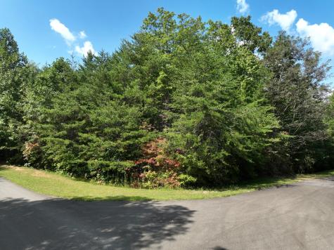 123 Edinborough Court Ellijay GA 30536