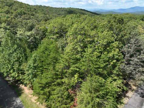 123 Edinborough Court Ellijay GA 30536