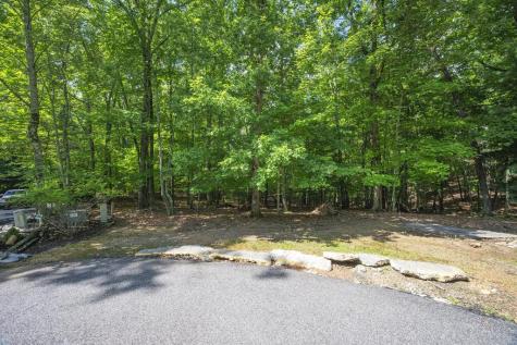 Lot 19 Gibbs Trail Mineral Bluff GA 30559