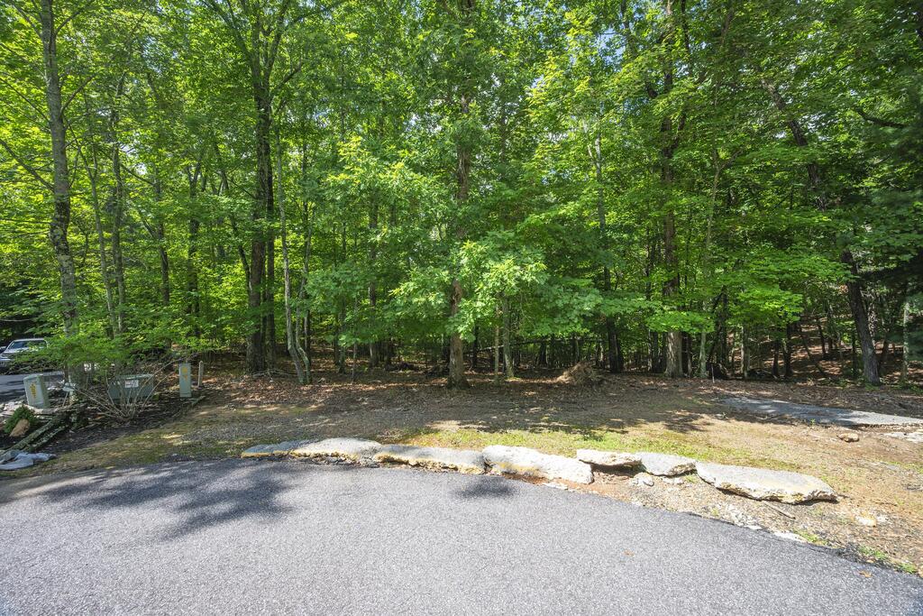 Lot 19 Gibbs Trail Mineral Bluff GA 30559