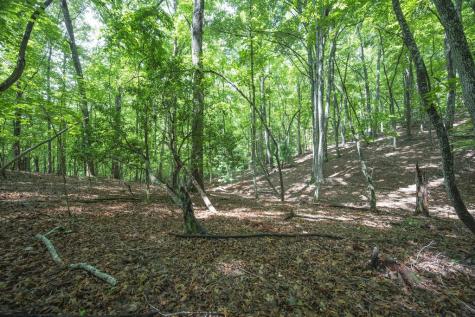 Lot 19 Gibbs Trail Mineral Bluff GA 30559