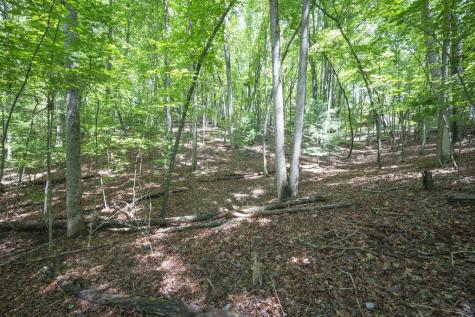 Lot 19 Gibbs Trail Mineral Bluff GA 30559