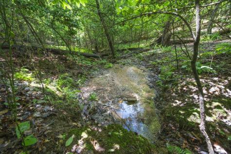 Lot 19 Gibbs Trail Mineral Bluff GA 30559
