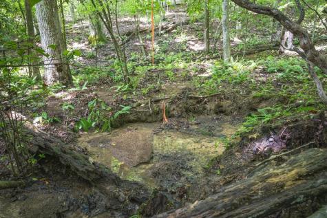 Lot 19 Gibbs Trail Mineral Bluff GA 30559