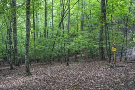 Lot 19 Gibbs Trail Mineral Bluff GA 30559
