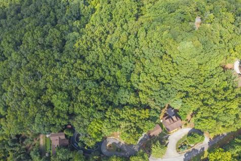 Lot 19 Gibbs Trail Mineral Bluff GA 30559