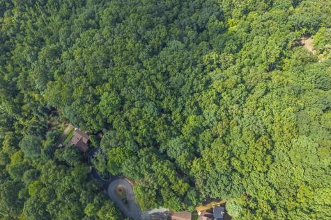 Lot 19 Gibbs Trail Mineral Bluff GA 30559