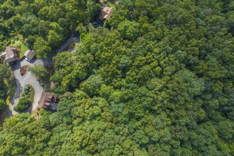 Lot 19 Gibbs Trail Mineral Bluff GA 30559