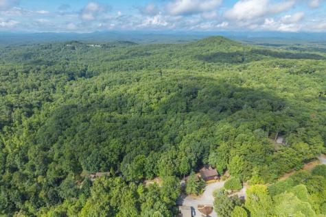 Lot 19 Gibbs Trail Mineral Bluff GA 30559