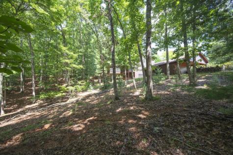 Lot 19 Gibbs Trail Mineral Bluff GA 30559