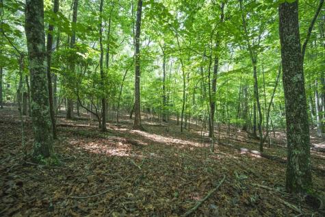 Lot 19 Gibbs Trail Mineral Bluff GA 30559