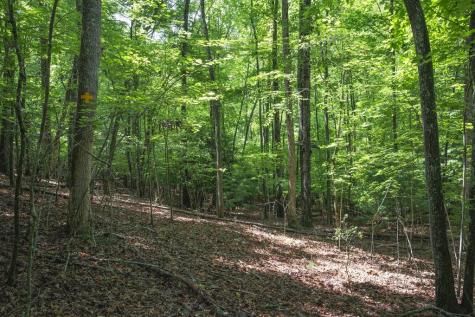 Lot 19 Gibbs Trail Mineral Bluff GA 30559