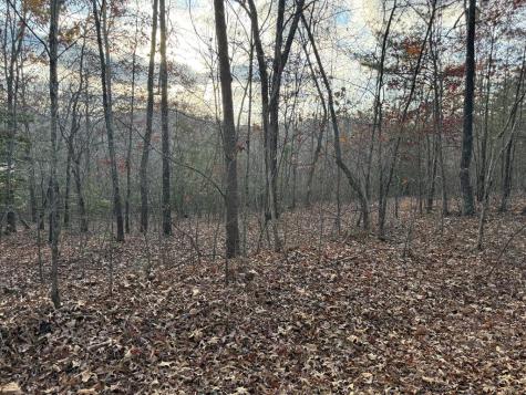 28/32 Stuart Ridge Road Mineral Bluff GA 30559