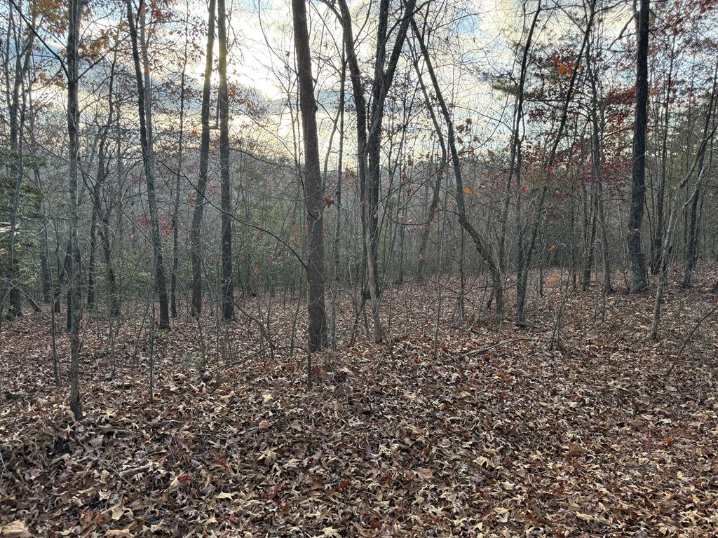 28/32 Stuart Ridge Road Mineral Bluff GA 30559