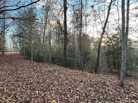 28/32 Stuart Ridge Road Mineral Bluff GA 30559
