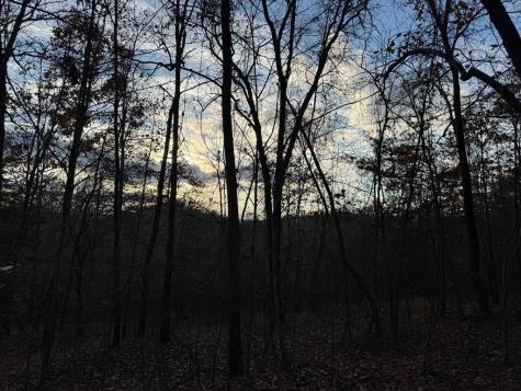 28/32 Stuart Ridge Road Mineral Bluff GA 30559