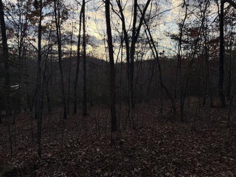28/32 Stuart Ridge Road Mineral Bluff GA 30559