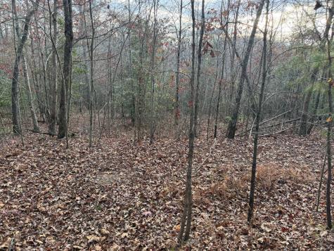28/32 Stuart Ridge Road Mineral Bluff GA 30559