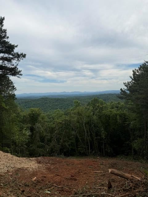 Lot 30 Lookout Drive Blue Ridge GA 30513