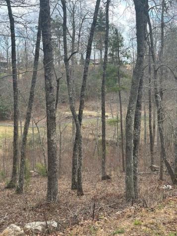 Lot 195 Trails End Way Mineral Bluff GA 30559