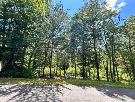 Lot 195 Trails End Way Mineral Bluff GA 30559