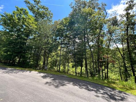 Lot 195 Trails End Way Mineral Bluff GA 30559
