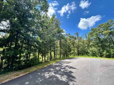 Lot 195 Trails End Way Mineral Bluff GA 30559