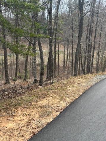 Lot 195 Trails End Way Mineral Bluff GA 30559