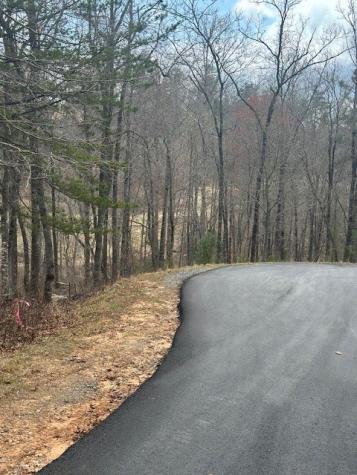 Lot 195 Trails End Way Mineral Bluff GA 30559