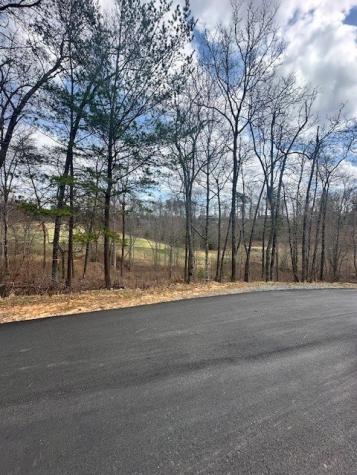 Lot 195 Trails End Way Mineral Bluff GA 30559