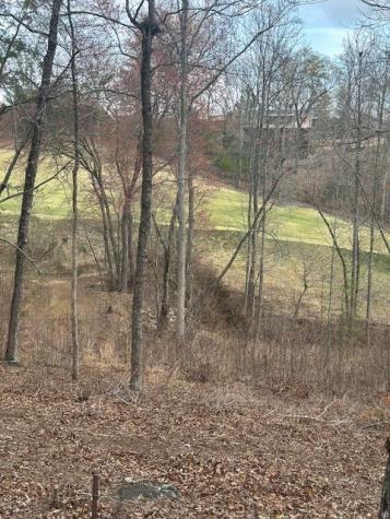 Lot 195 Trails End Way Mineral Bluff GA 30559