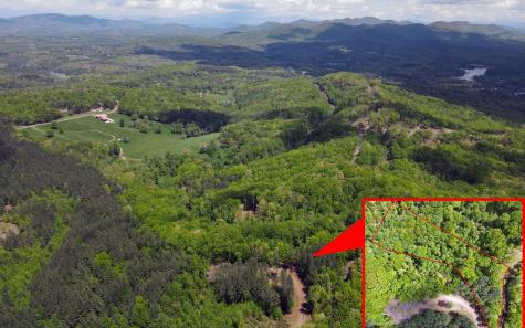 Lot 88 Thirteen Hundred Blairsville GA 30512