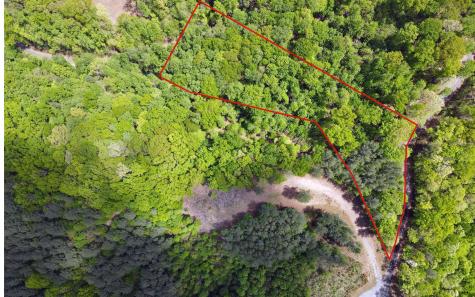 Lot 88 Thirteen Hundred Blairsville GA 30512