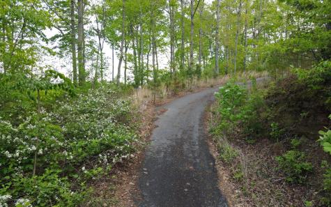 Lot 88 Thirteen Hundred Blairsville GA 30512