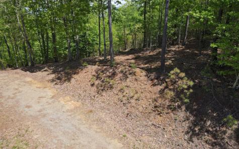 Lot 88 Thirteen Hundred Blairsville GA 30512
