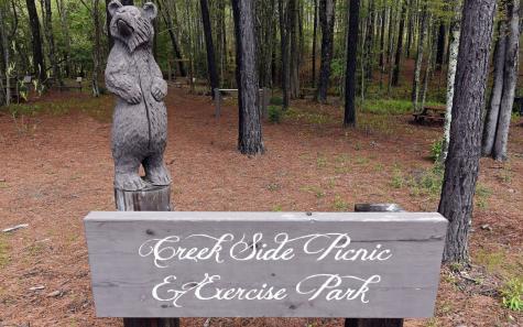 Lot 88 Thirteen Hundred Blairsville GA 30512