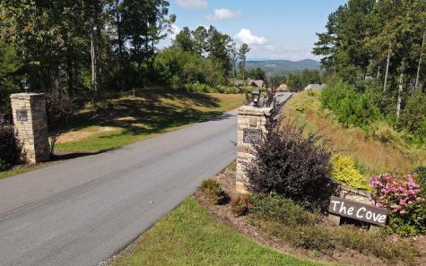 Lot 88 Thirteen Hundred Blairsville GA 30512