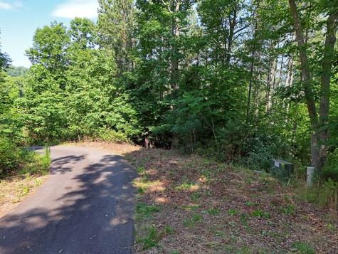 Lot 88 Thirteen Hundred Blairsville GA 30512