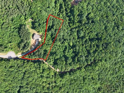 Lot 88 Thirteen Hundred Blairsville GA 30512